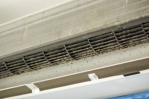Best Ventilation Cleaning Services  in Frazer, PA